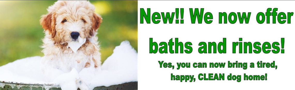 dog daycare baths surrey langley Country Canine Retreat